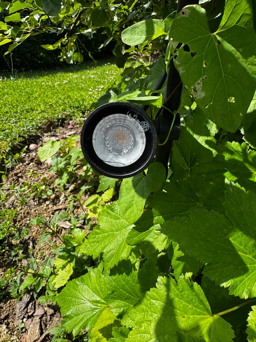 Projecteur d'éclairage extérieur dans la végétation